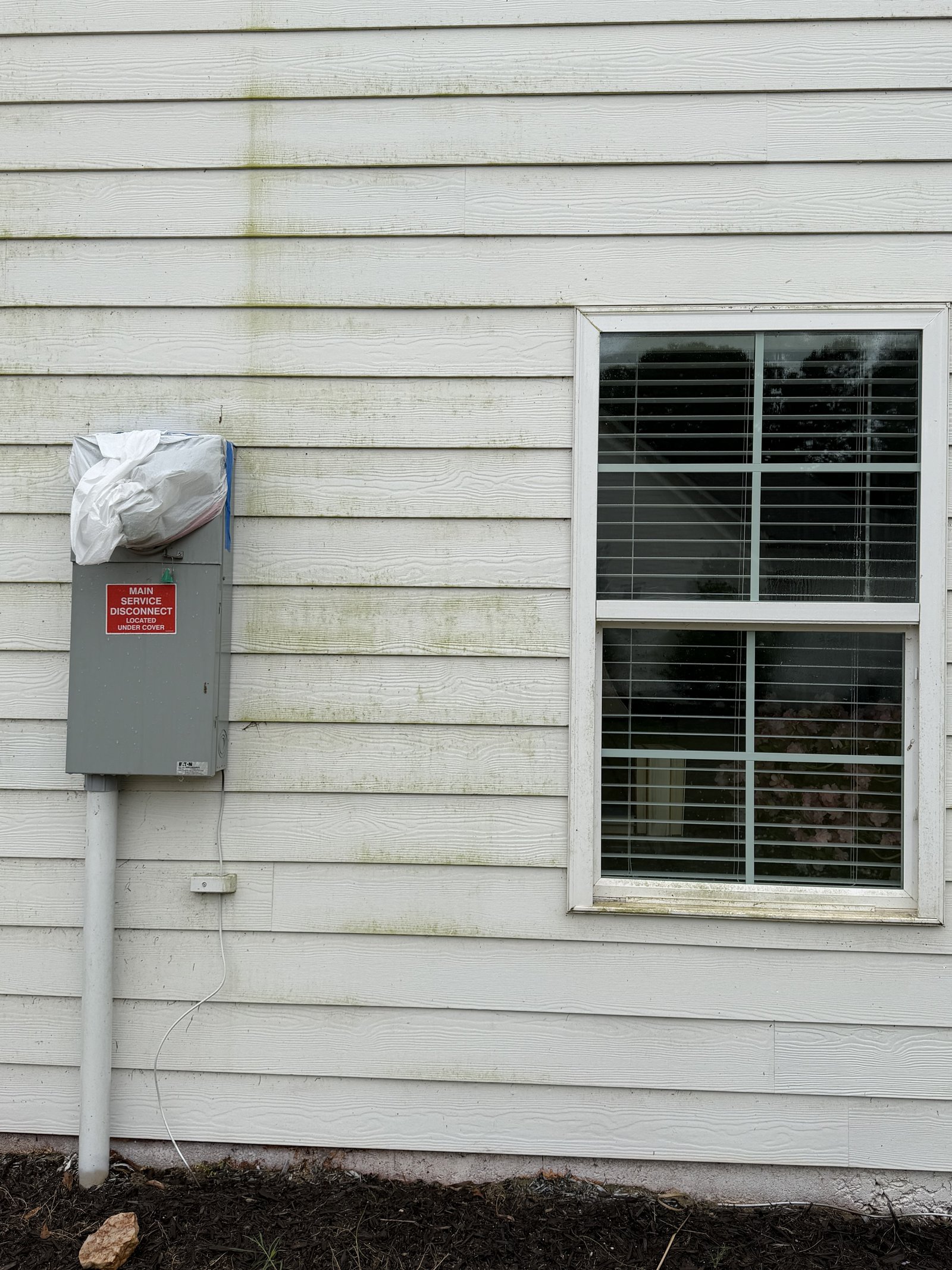 Algae and mildew buildup on home siding before soft wash