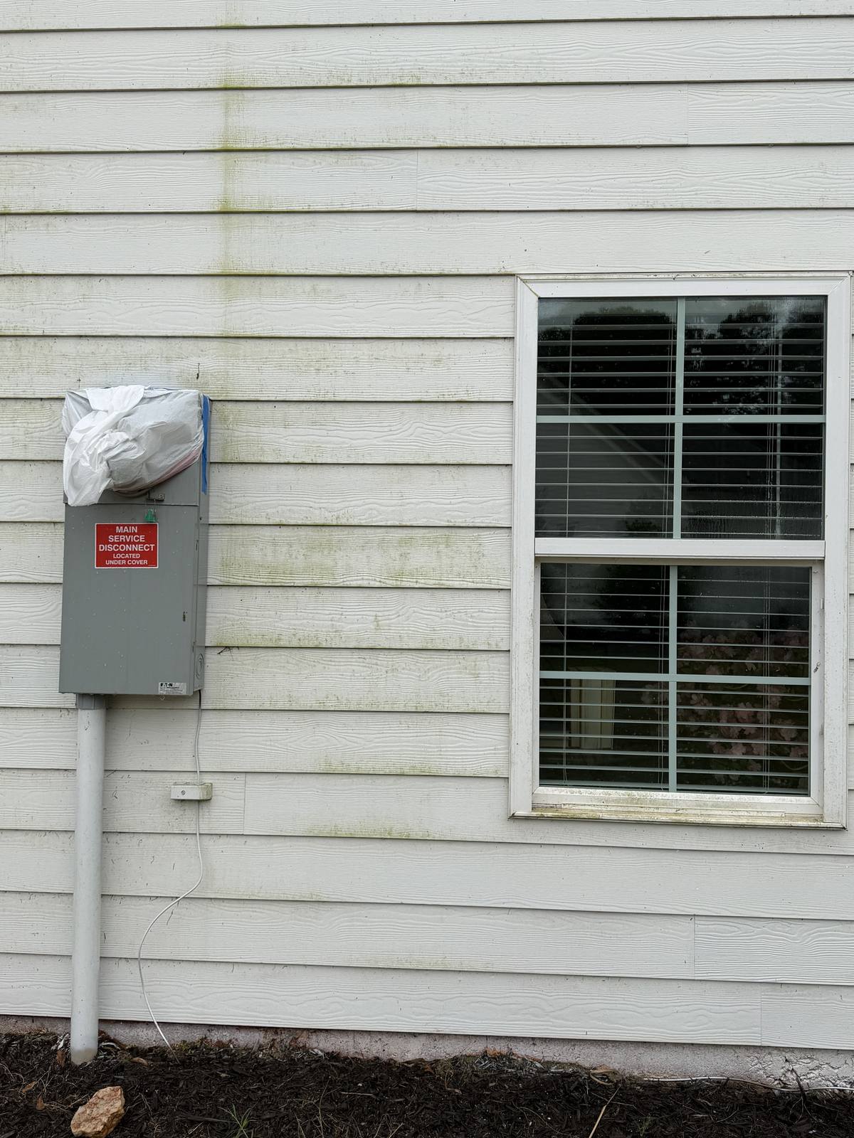 Before house washing — algae and mildew on Hardie board siding