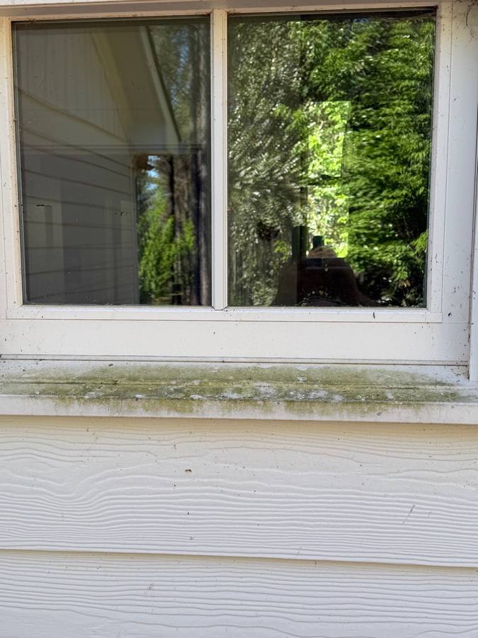 Before window cleaning — algae on sill and siding